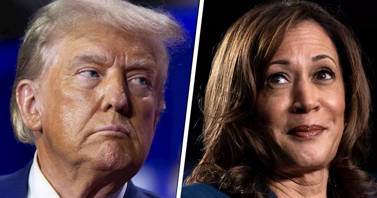 Election 2024 live updates: Trump to rally in Atlanta while Harris interviews in Detroit