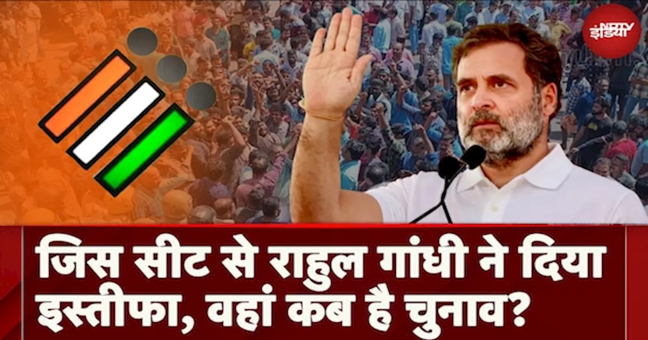 UP By Election Date: जिस Wayanad Seat से Rahul Gandhi ने दिया था इस्तीफा, जानें वहां कब है उपचुनाव की वोटिंग