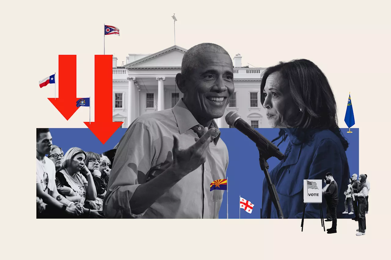 Barack Obama Hurts Kamala Harris Among Swing State Voters: 'Disrespectful'