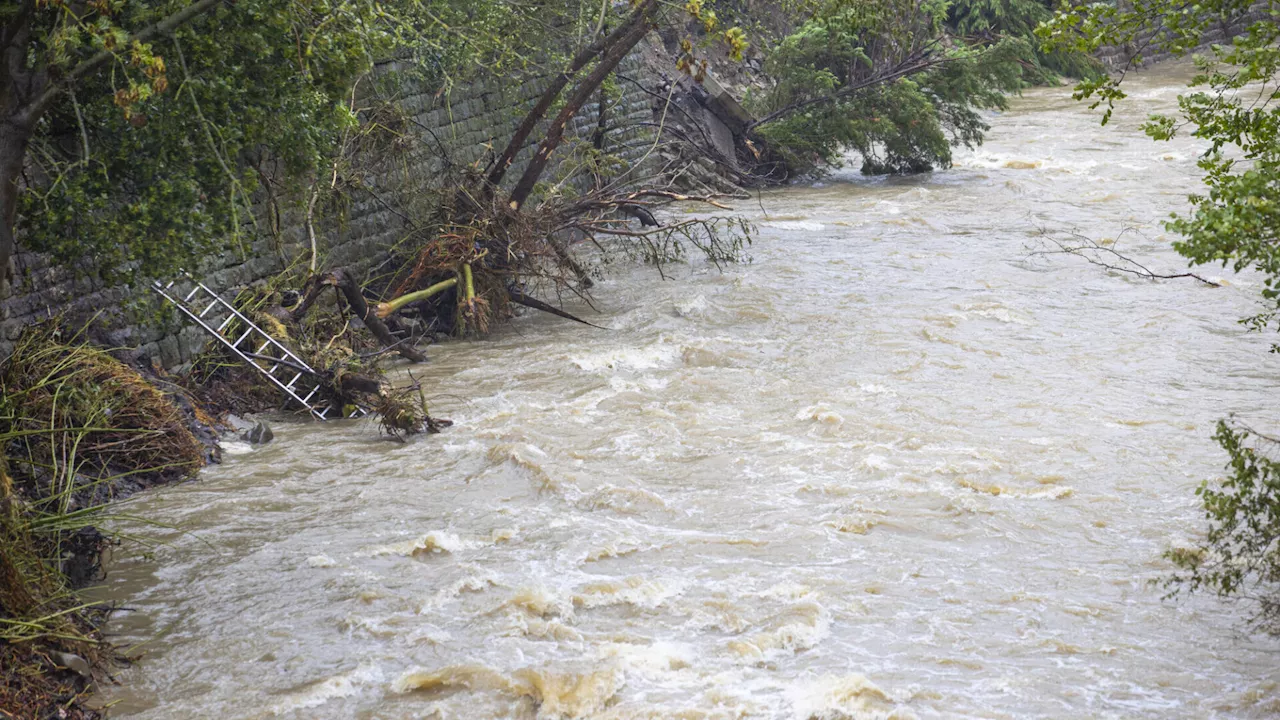 Purkersdorf beschließt Sofortmaßnahmen für Wienfluss