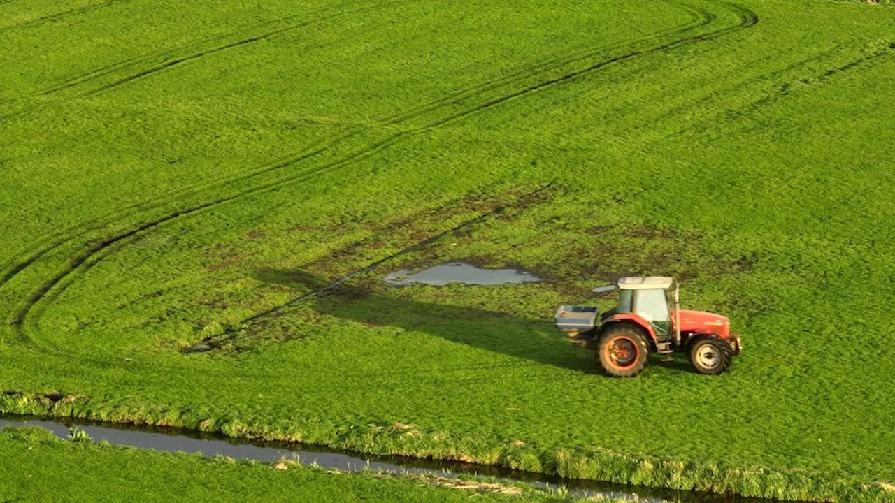 Mestwet van Wiersma door Tweede Kamer; ook varkens- en pluimveesector gekort