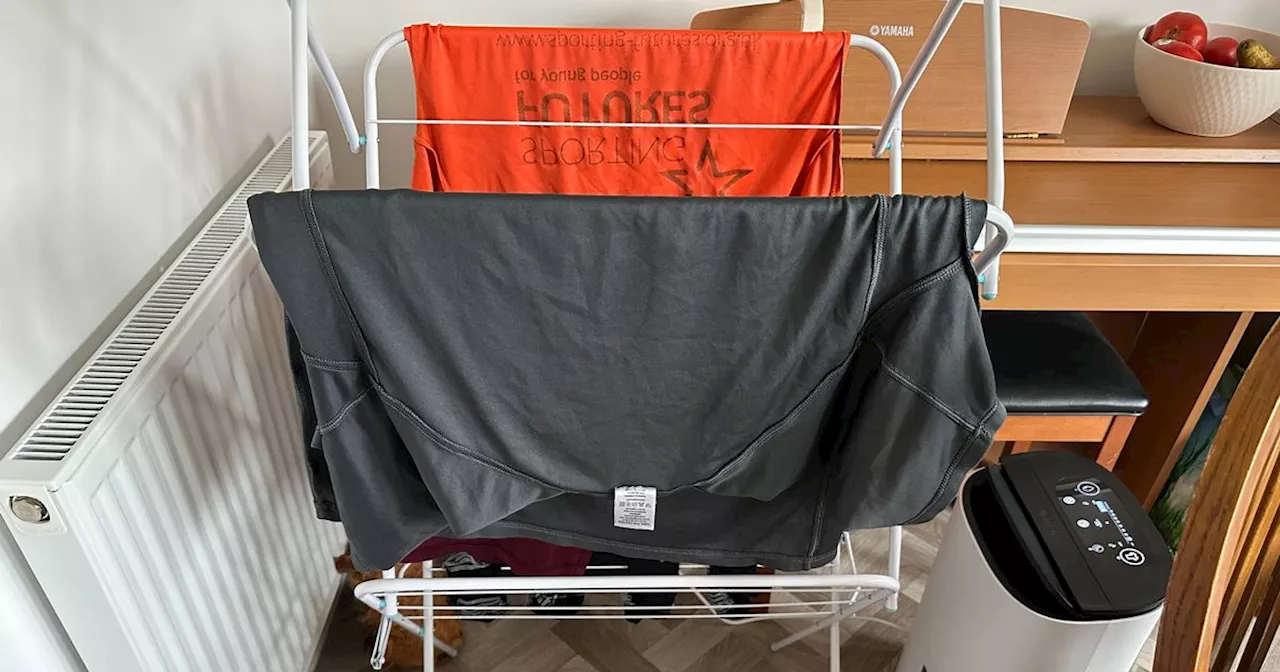 I tried a dehumidifier with 'Smart Laundry' feature to dry laundry