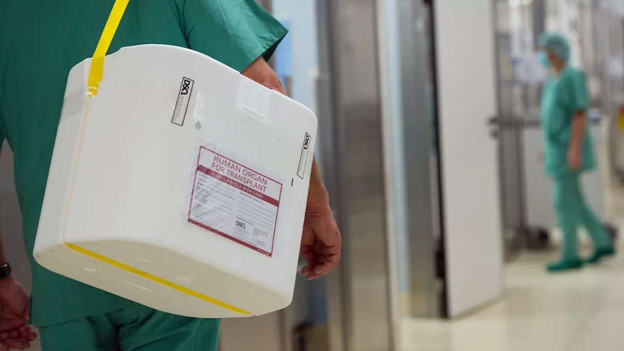 FDP legt Positionspapier vor: Organspende soll auch bei Herzstillstand möglich werden