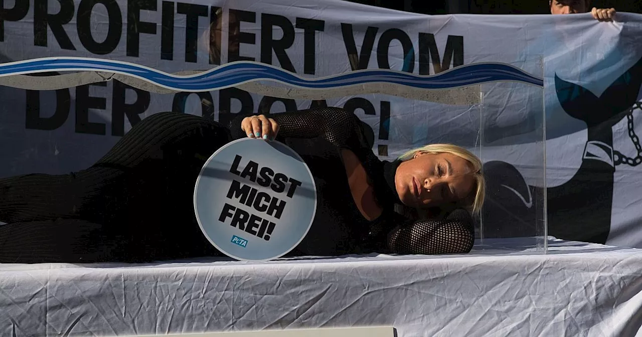 Sarah Connor und Peta protestieren gegen Haltung von Orcas