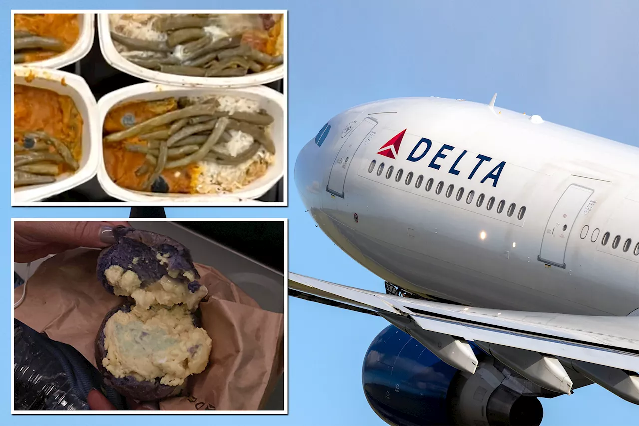 Delta cancels meal service on hundreds of flights after FDA flags 'food safety issue'