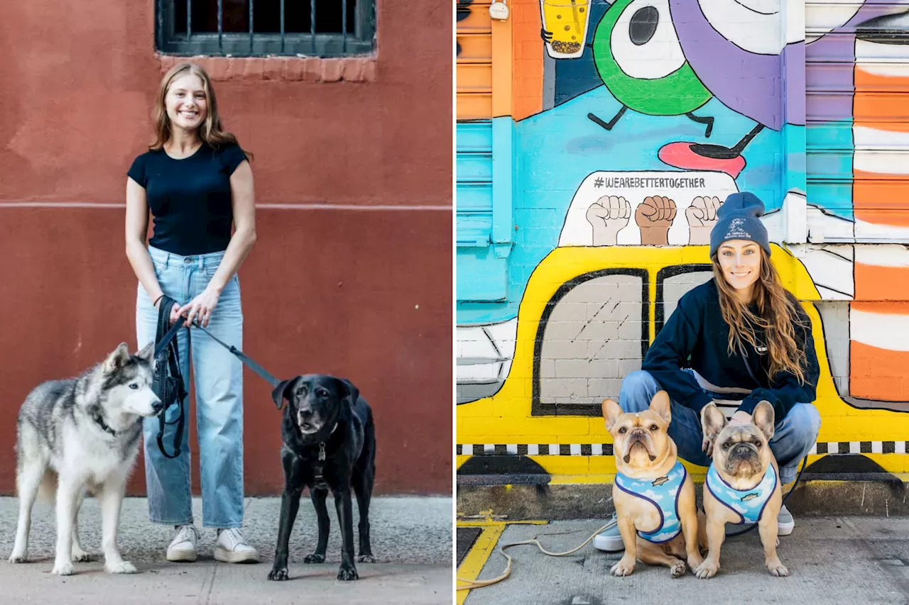 Dog walking business is booming in NYC again — here's why it's so doggone bonkers