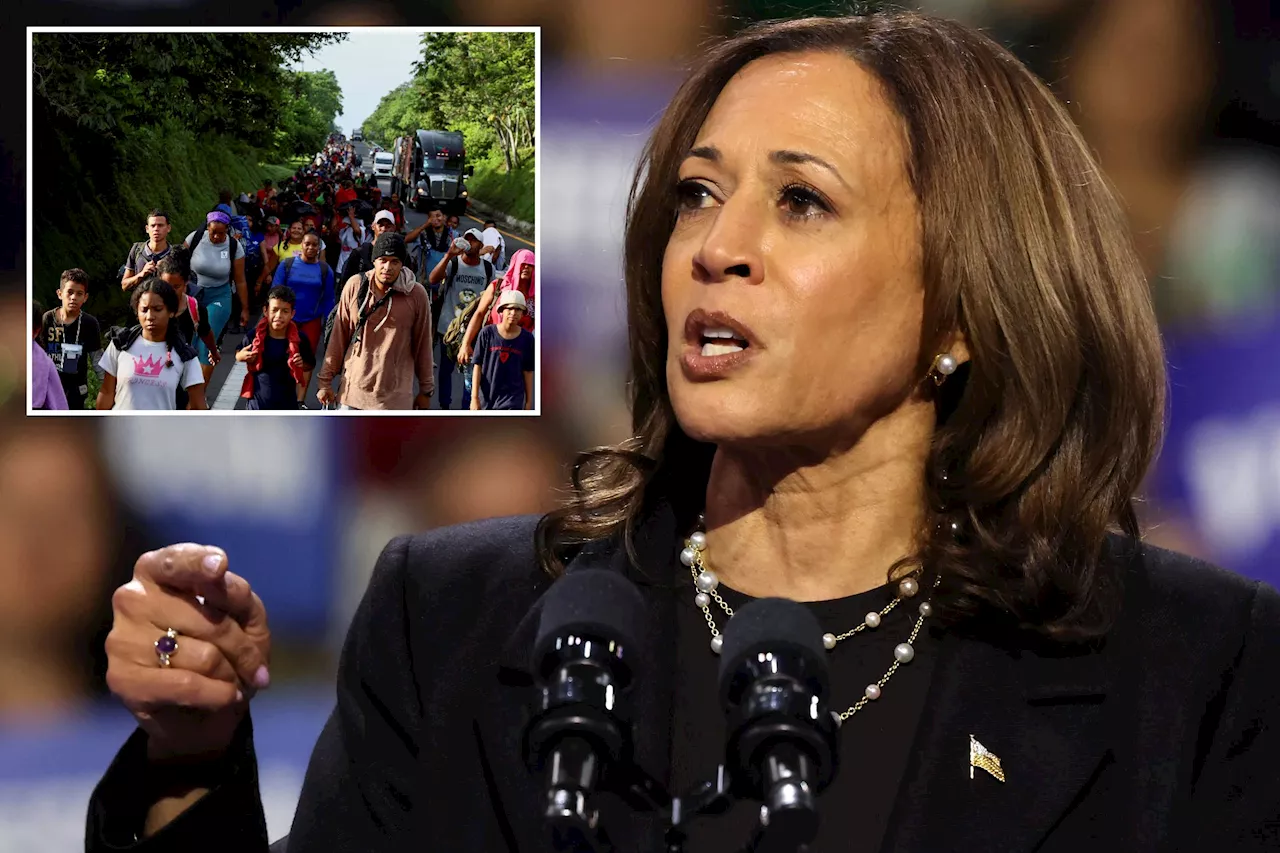 Kamala Harris' past proposals show her true intentions with ICE and the border