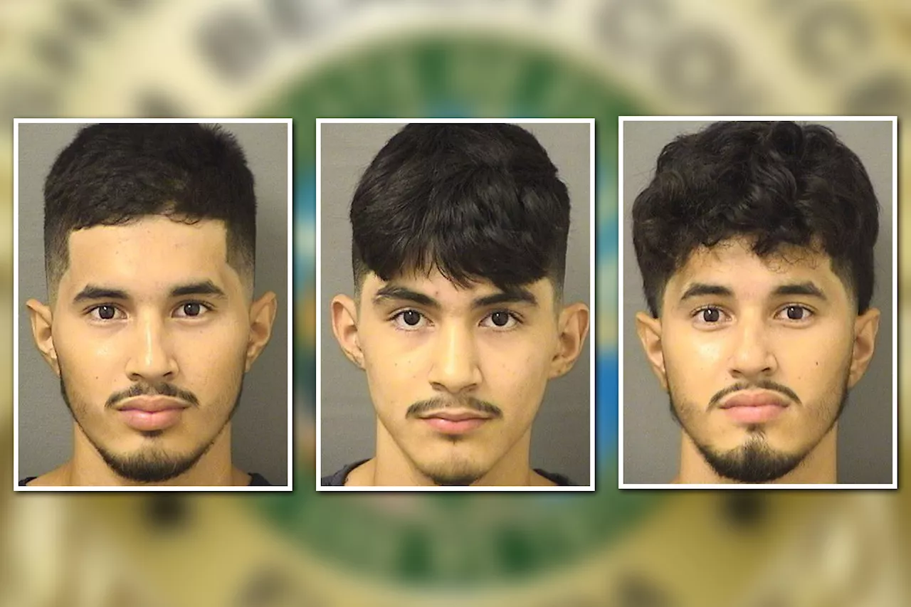 Three illegal migrants nabbed in Florida for allegedly sexually assaulting child