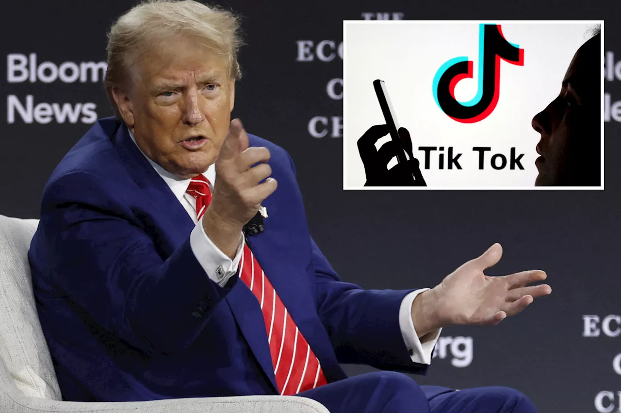 Trump calls TikTok a national security risk while opposing ban: 'Everything's a threat'