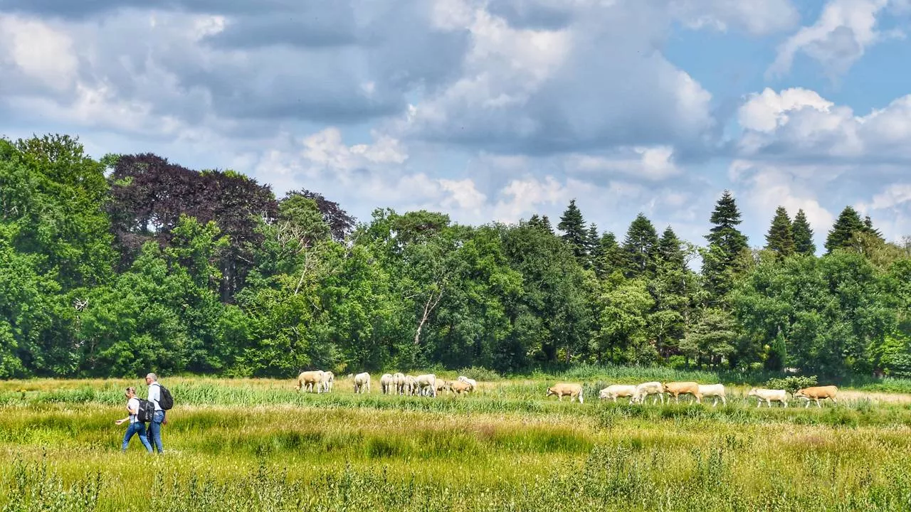 1,5 miljoen Brabanders wonen sinds vandaag in een Nationaal Park