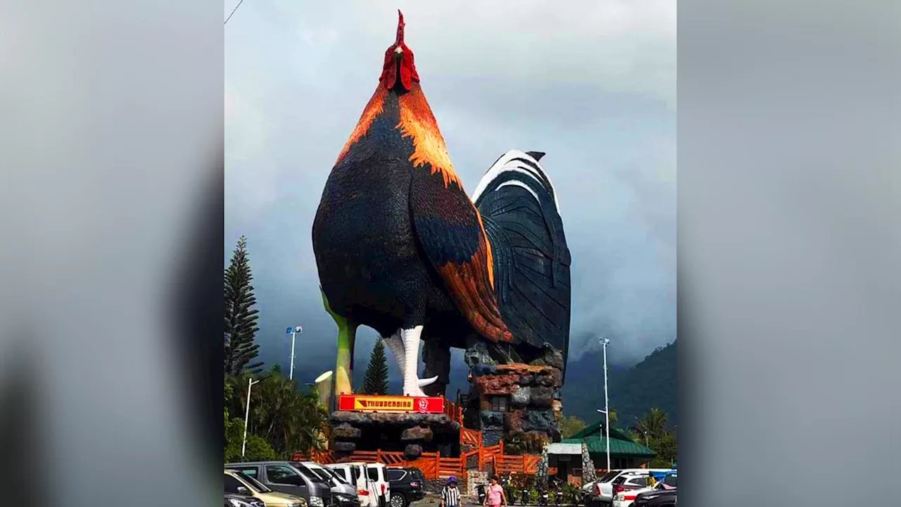 Giant rooster structure in Negros Occidental city sets Guinness record