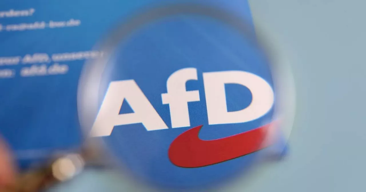 Weiterer Schritt in Richtung AfD-Verbotsverfahren: Antrag wird beraten