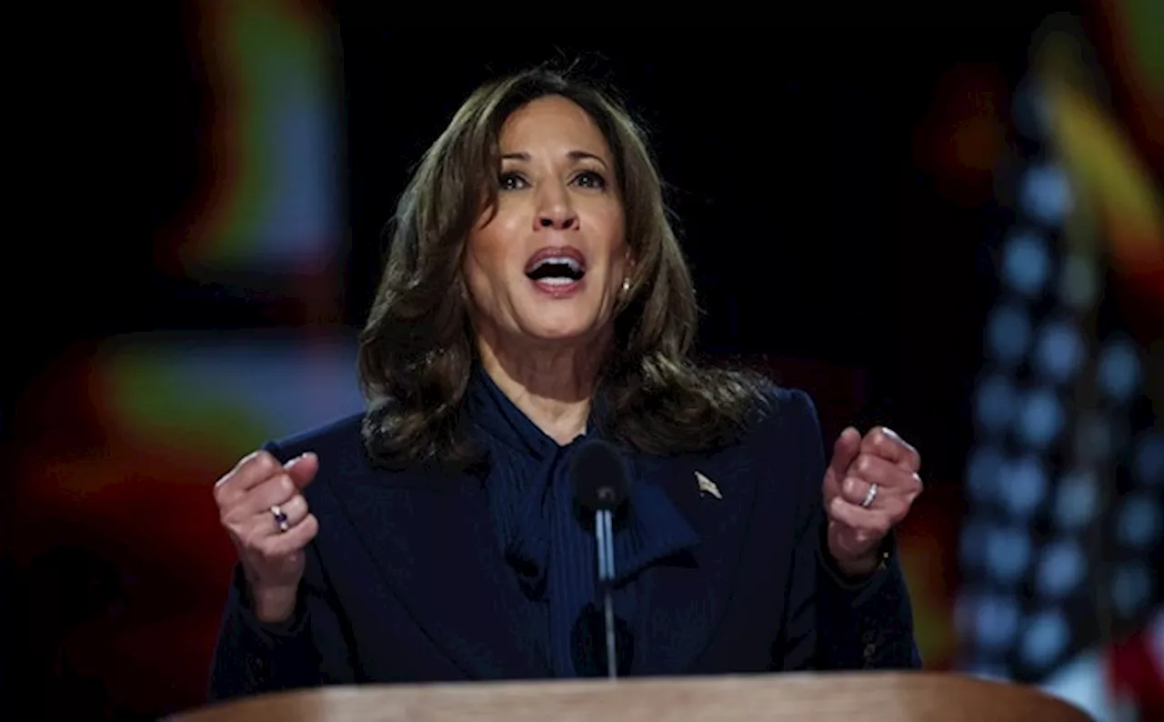 Harris could join Joe Rogan podcast in hunt for male votes: Sources - SABC News