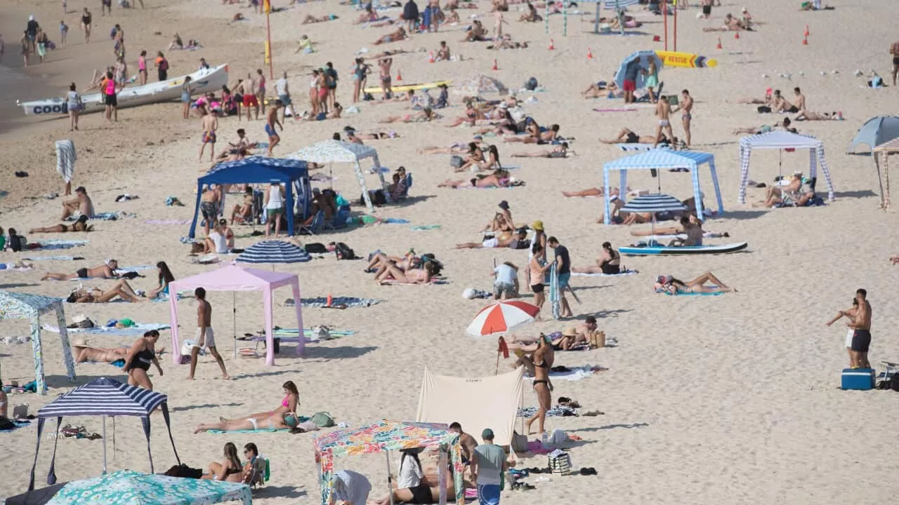 A mysterious discovery on this Sydney beach has forced its closure