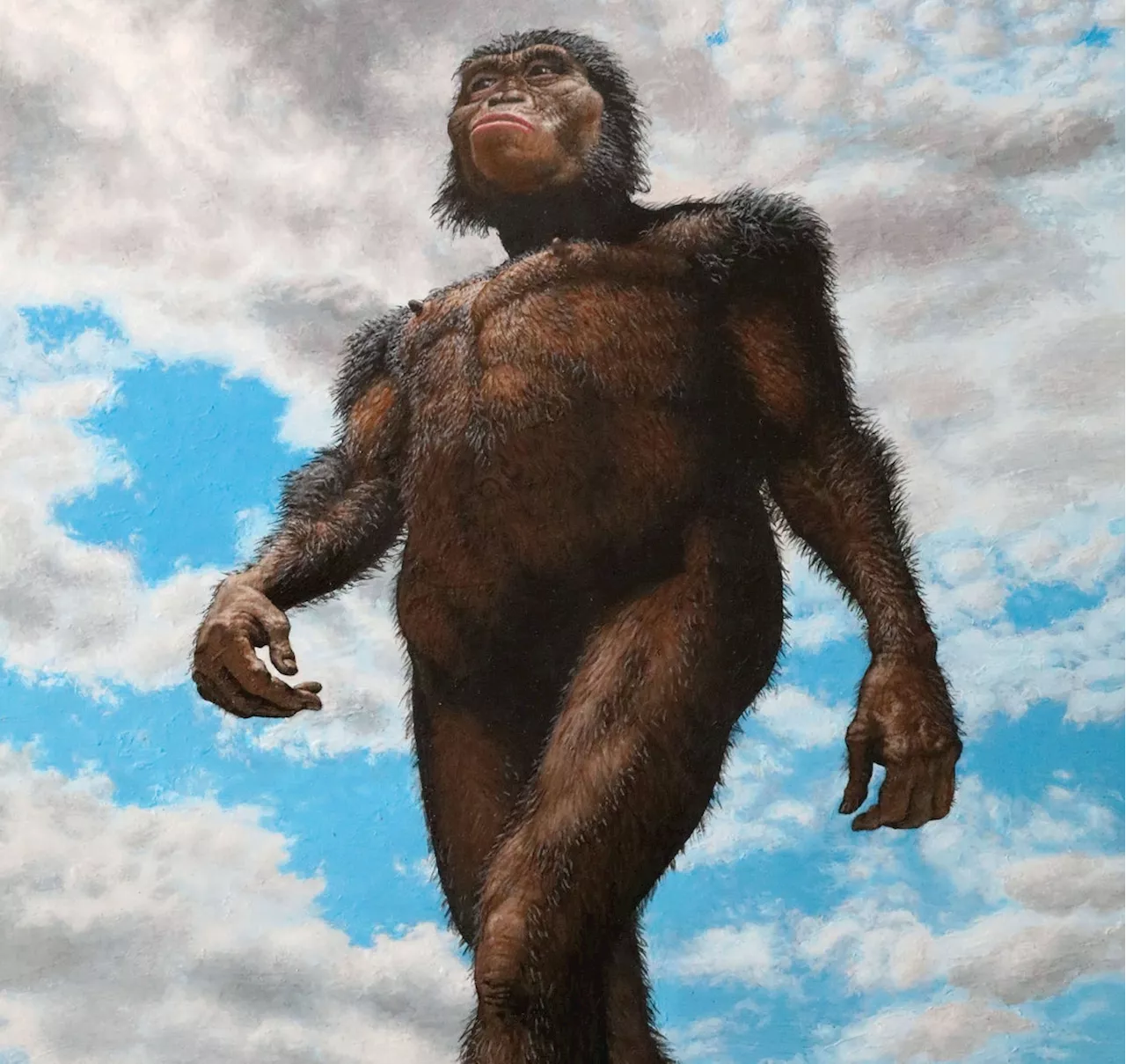 Fossil Human Ancestor ‘Lucy’ Remains Pivotal 50 Years after Discovery