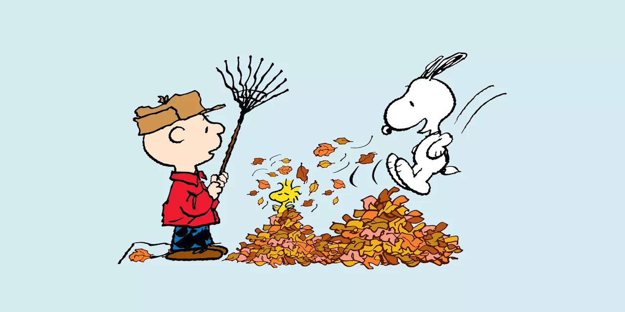 10 Funniest Peanuts Comic Strips That Celebrate Autumn