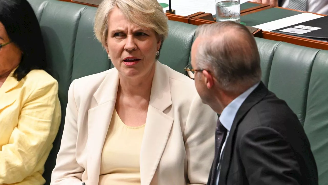 Environment Minister Tanya Plibersek accused of backflipping in gold mine decision