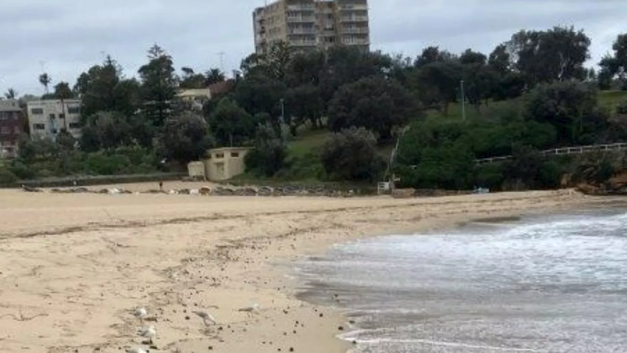 Popular Sydney beach closed after mysterious discovery