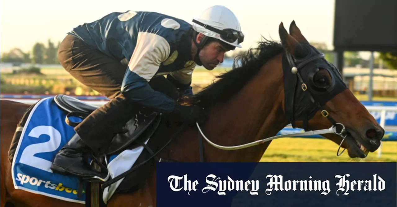 Caulfield Cup: Final field, barrier draw and last word from trainers