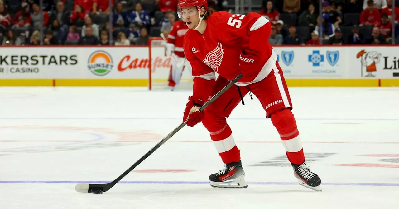 Seiders Detroit Red Wings kassieren zweite Niederlage in Folge