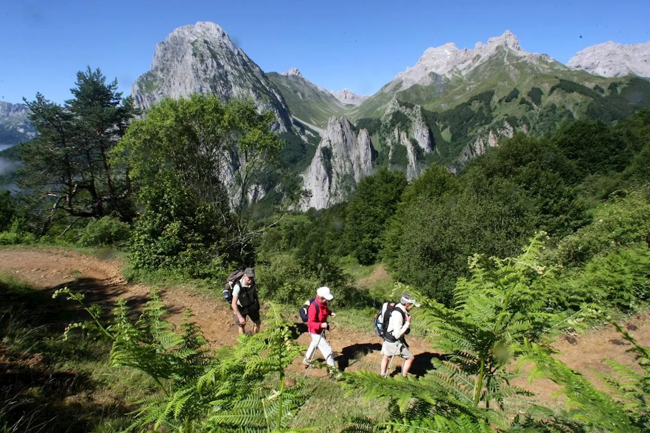 Béarn : après les intempéries, la vallée d’Aspe veut retrouver ses touristes