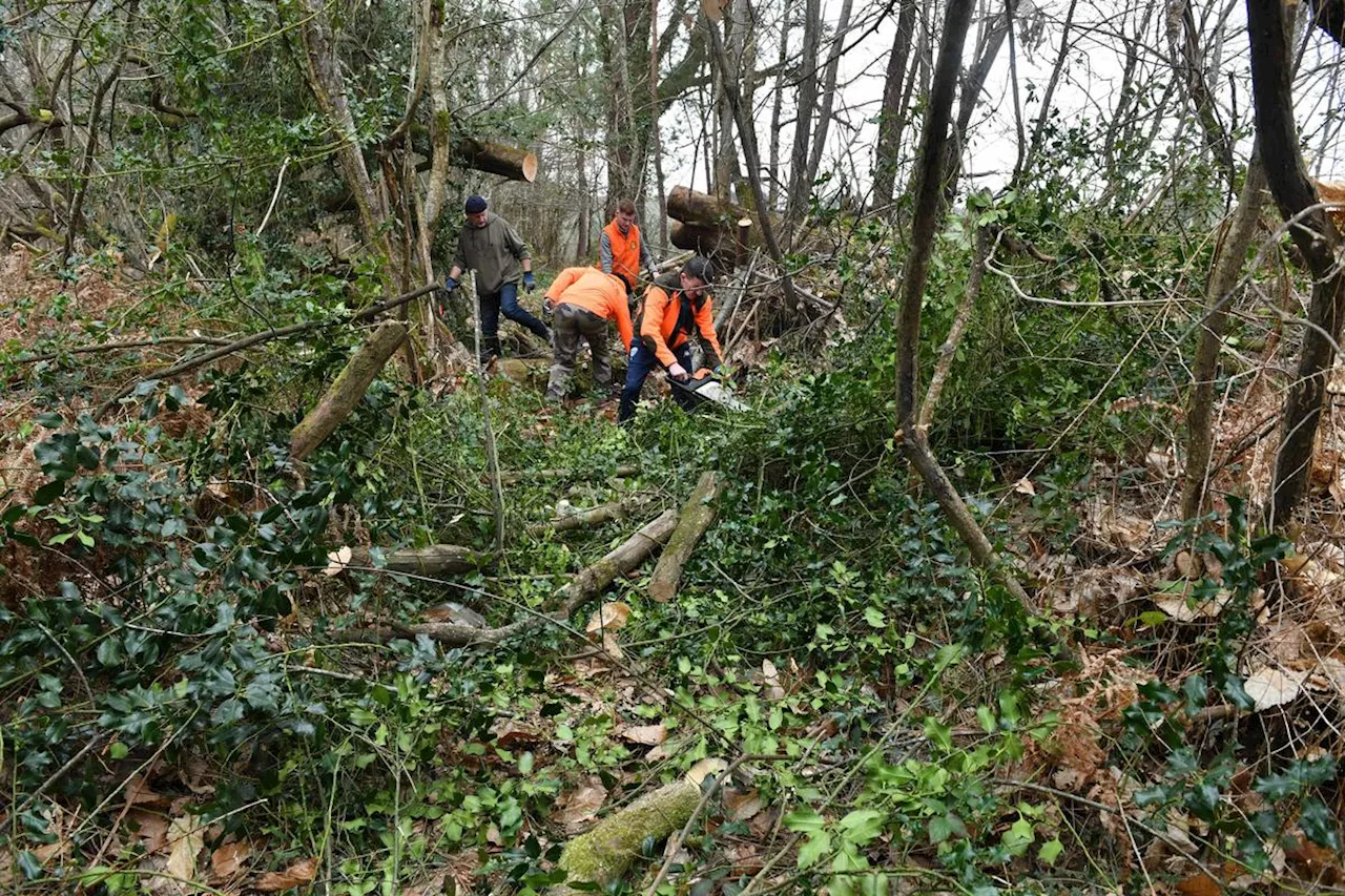 Feux de forêt : « une maison débroussaillée, c’est une maison protégée », petit rappel aux propriétaires de bois