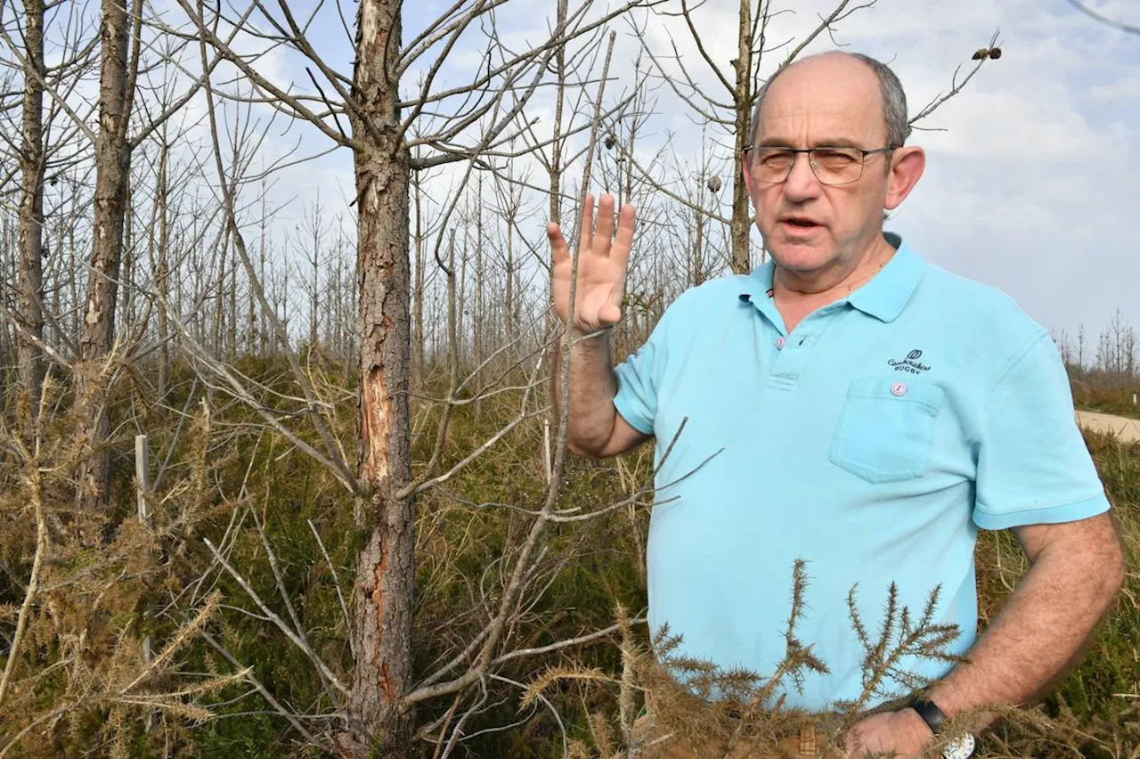 Forêt en Dordogne : une augmentation du nombre d’adhérents au SPFS