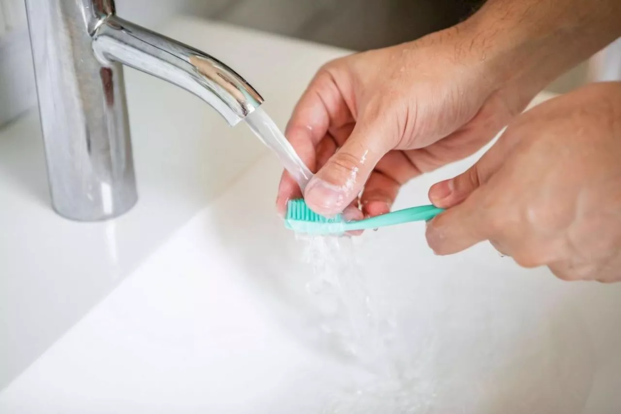 Les virus pullulent sur les brosses à dents et pommes de douche : pourquoi c’est une bonne nouvelle ?