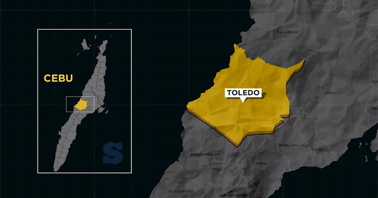 Toledo LGU offers P100K reward for information on student’s murder suspect