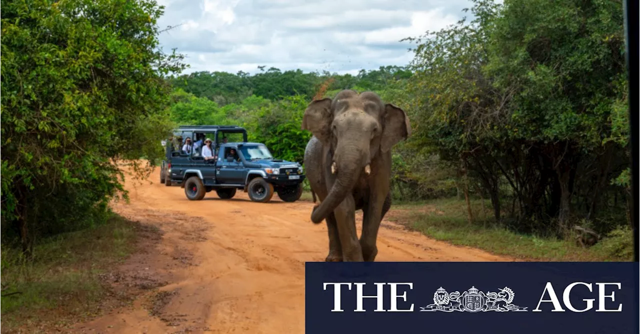 Think beyond Africa. The unexpected safari destination you should explore