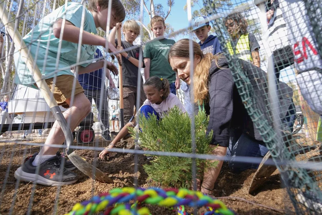 A Southern California school plants a 'Moon Tree' grown with seeds flown in space