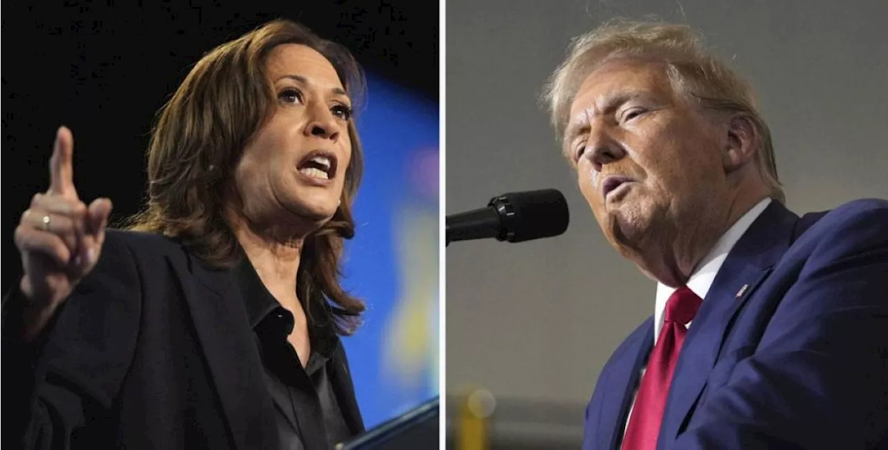 Harris hits Trump over threat to political foes