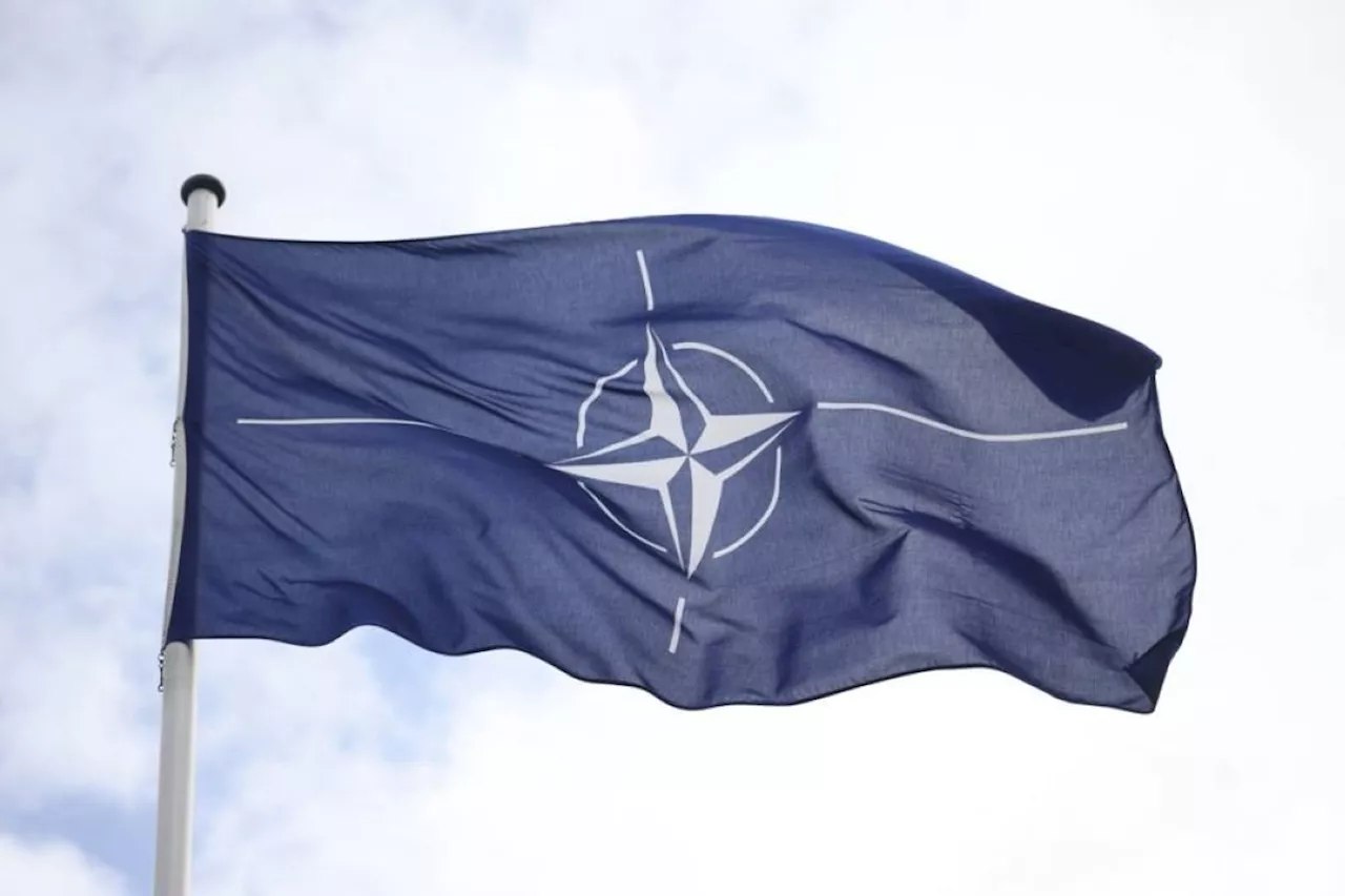 Russia could attack NATO by 2030 – intel heads