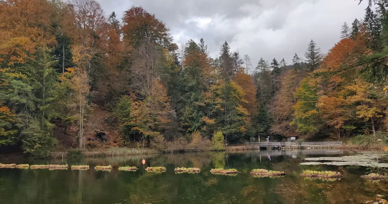 Schwimmende Inseln statt Bojenkette am Hechtsee: Wofür die Maßnahme gut ist