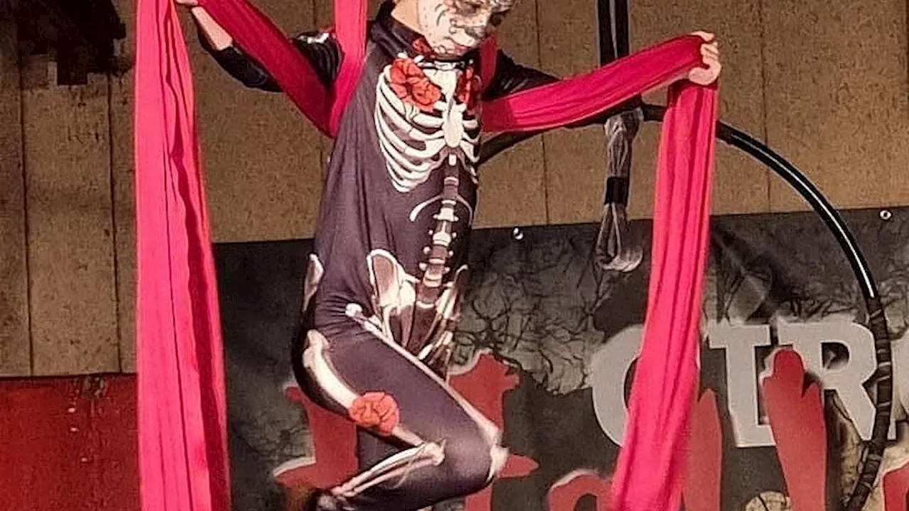 Oplev halloweenshow og kom på tur i monsterkælderen