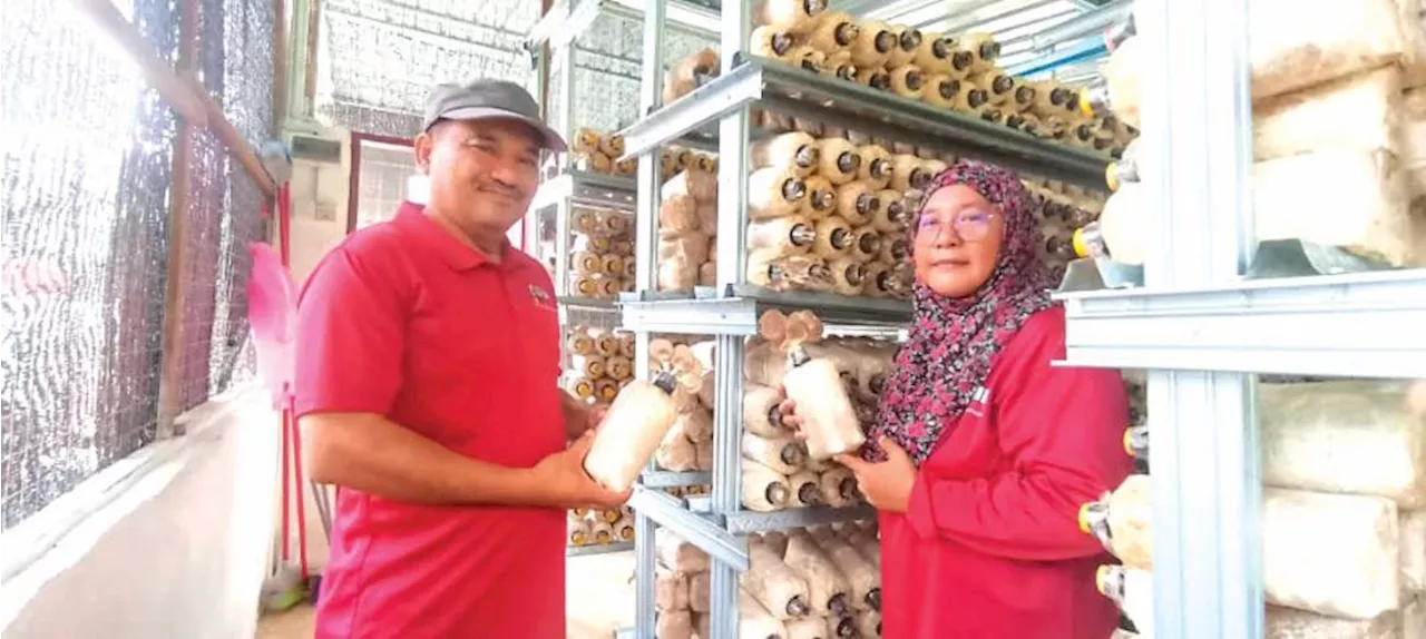 Kongsi pengalaman bantu Orang Asli, sekolah jana pendapatan tanam cendawan