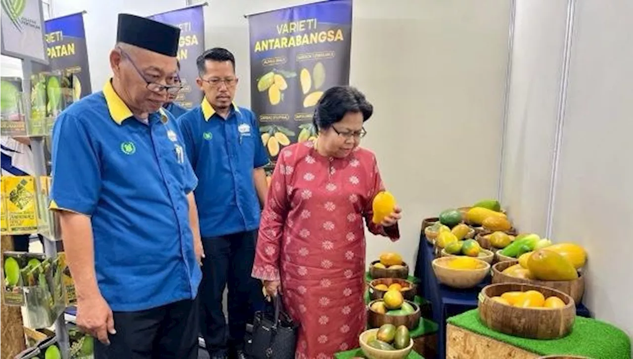 Tanaman harumanis di empat negeri