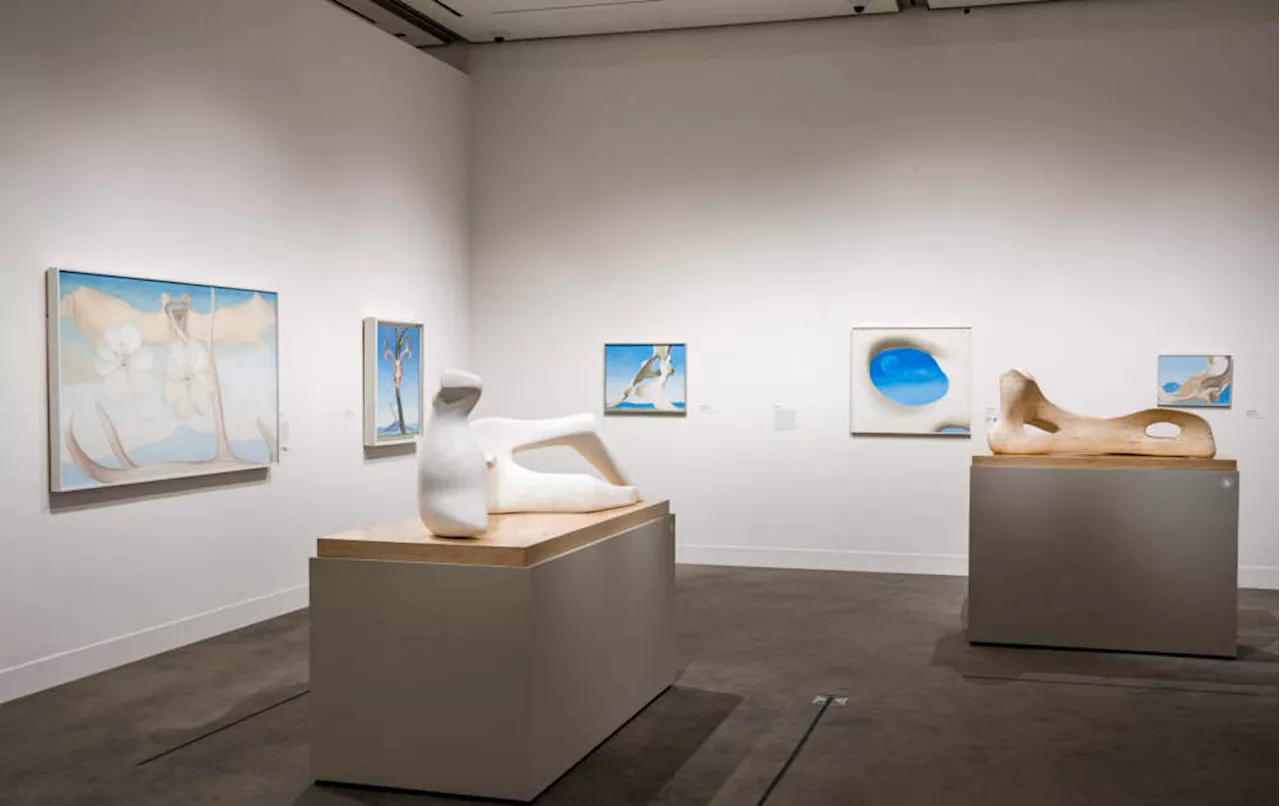 The works of artists Georgia O'Keeffe and Henry Moore in conversation at the MFA