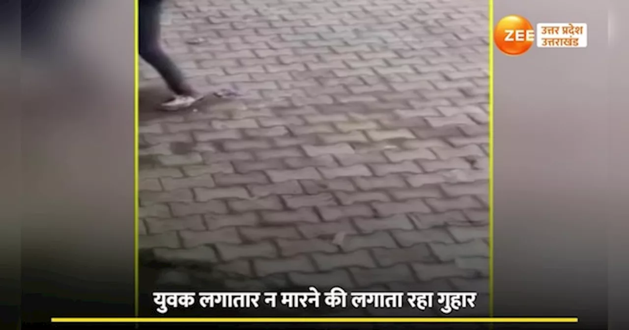 Ghaziabad viral video: बीच सड़क दबंगों ने युवक की बेल्ट से उधेड़ दी खाल, बेरहमी से पिटाई का वीडियो वायरल