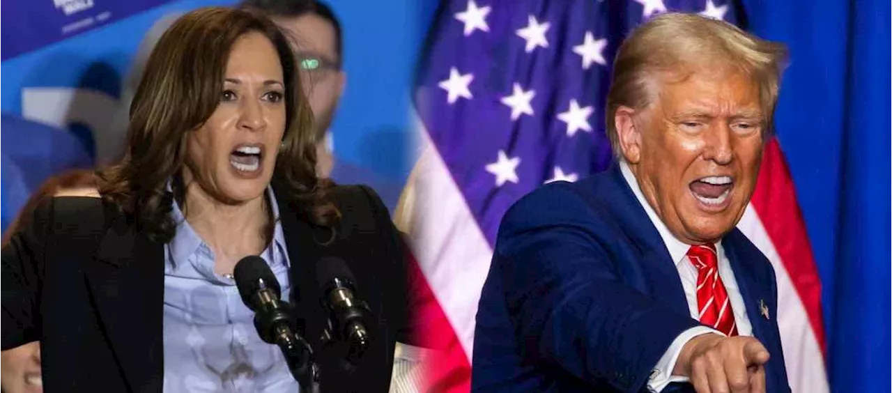 "Esta pesadilla puede terminar": Stephen King pide votar por Kamala Harris