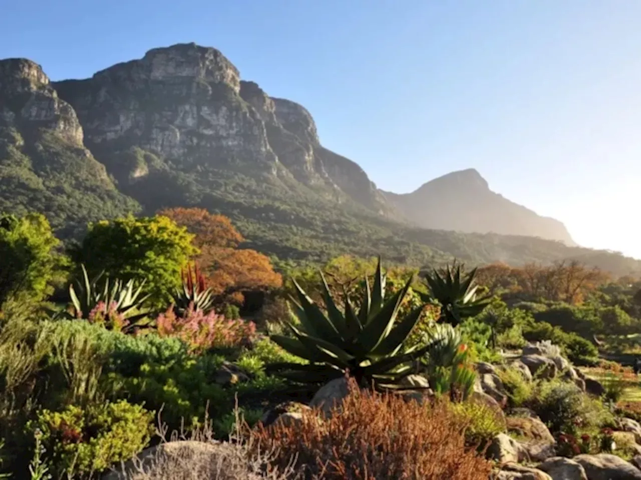 New Luxury Lifestyle Estate Launched In Bishops Court, With Kirstenbosch Gardens As You Backyard