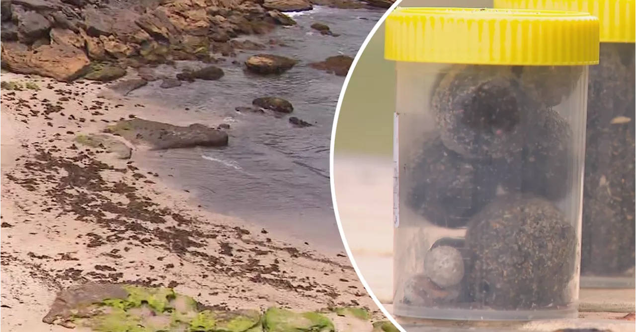 Mysterious ball-shaped debris identified after two Sydney beaches closed