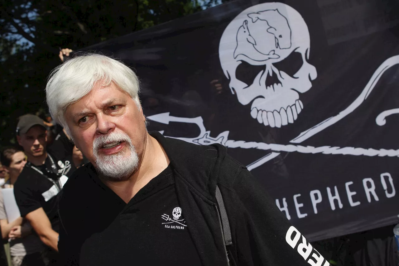 L'écologiste Paul Watson, en prison, a demandé à Emmanuel Macron l'asile politique en France