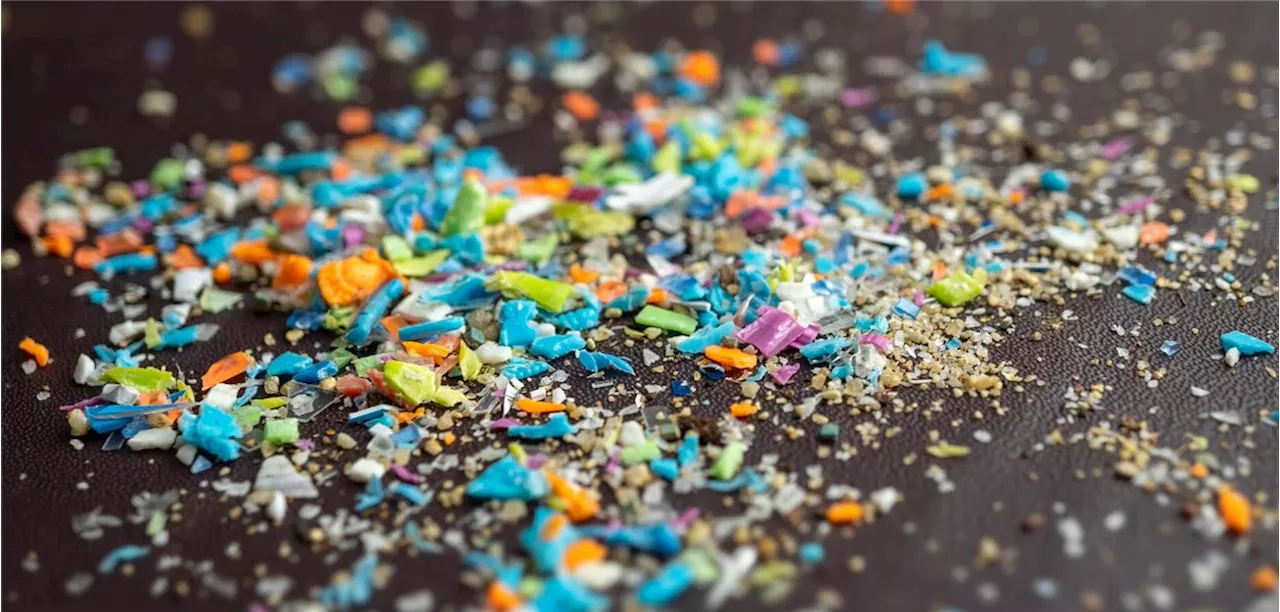 Atherosklerose der Karotiden : Mikroplastik in Plaques ist mit kardiovaskulärem Risiko assoziiert