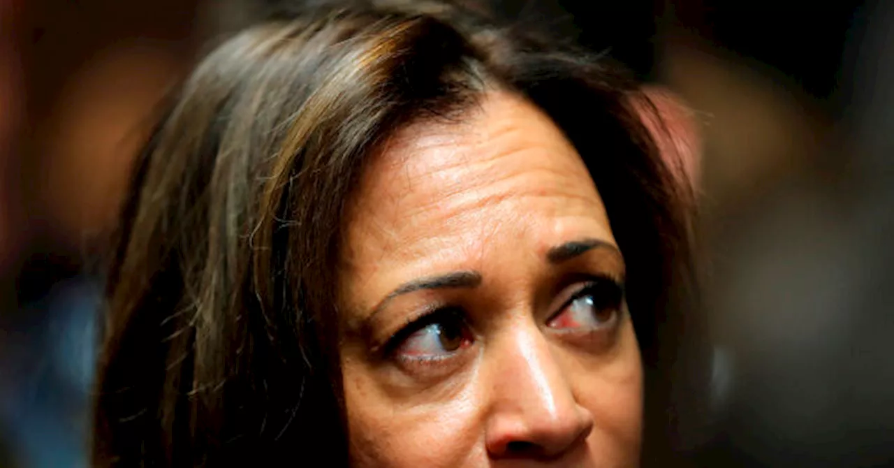 Campaign Denies Harris Plagiarized Numerous Book Excerpts, Contradicting Media Allies