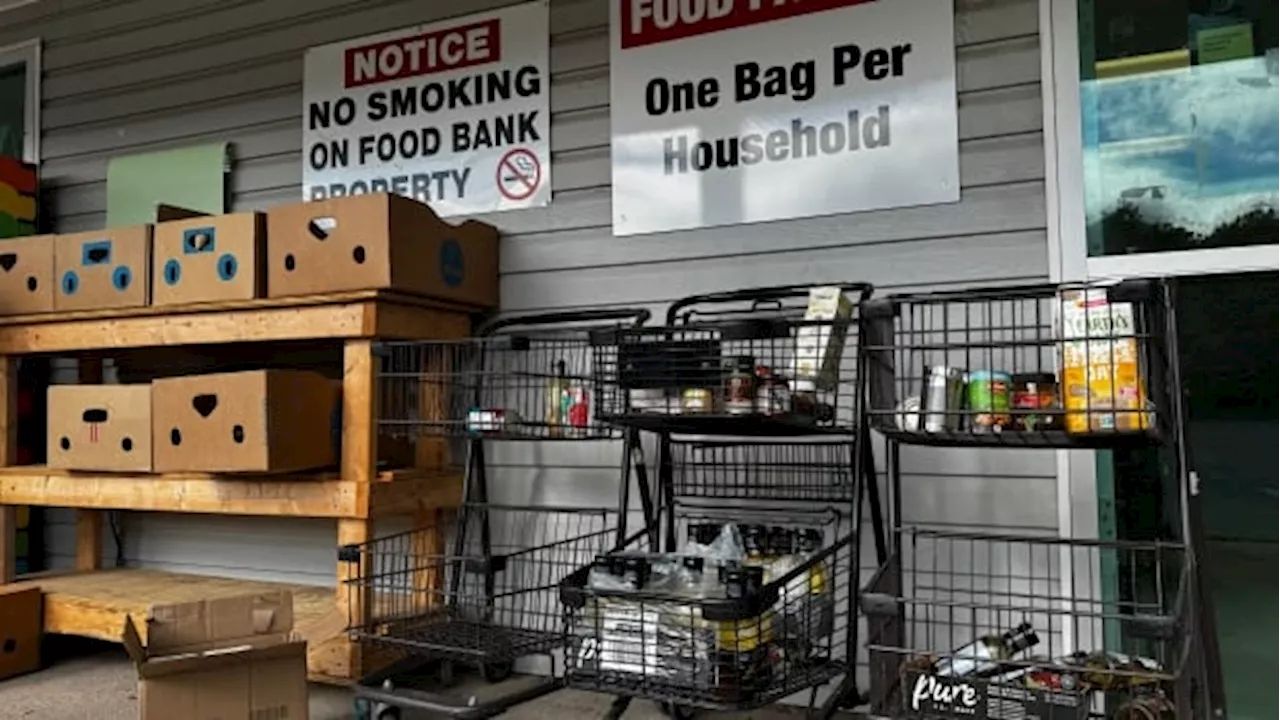 No tomatoes, no canned meat: What it's really like inside this small town food bank