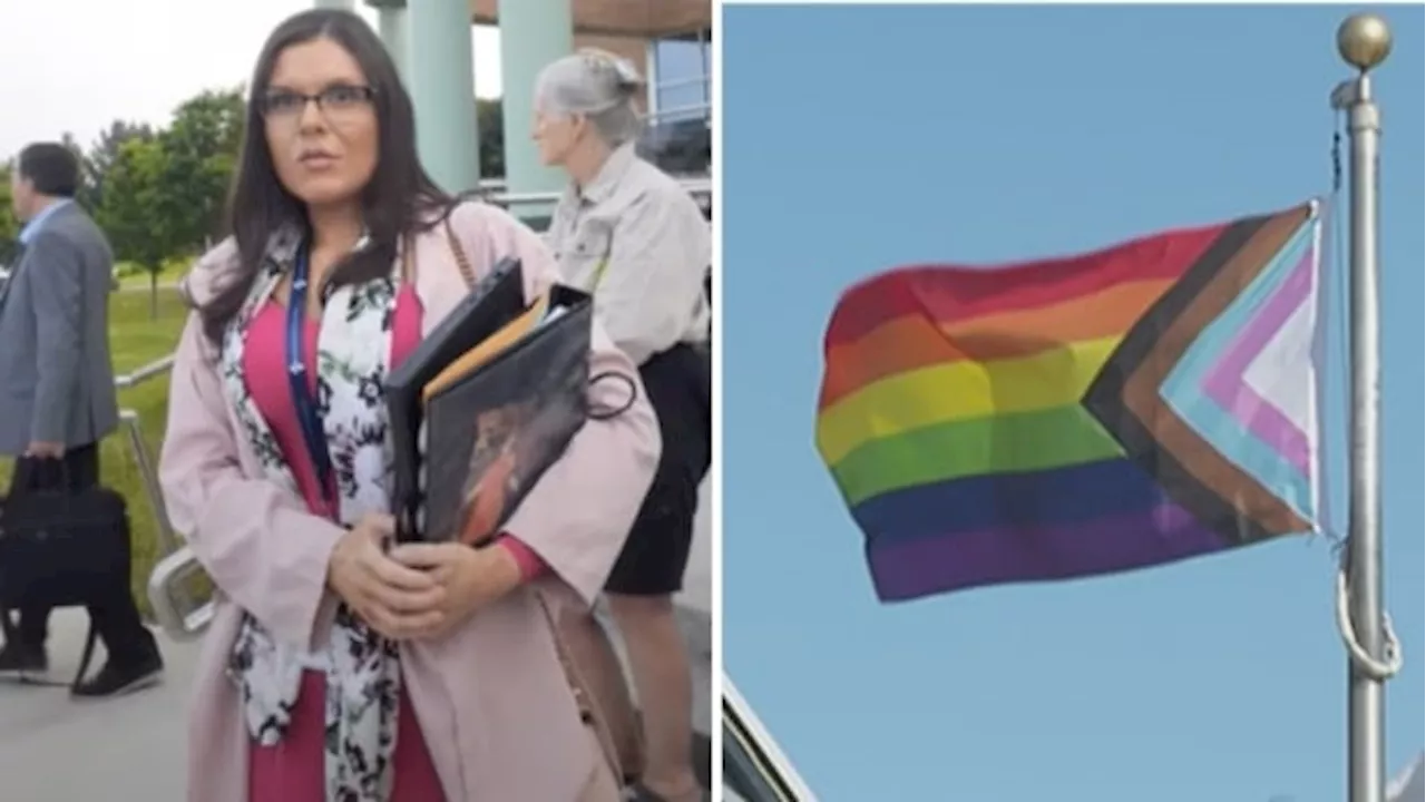 Trustee Who Compared Pride Flag To Nazi Symbol Seeks To Ban It From Schools Again