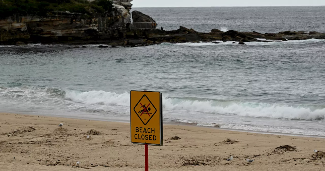 'Mysterious black balls' close 2 popular beaches in Australia