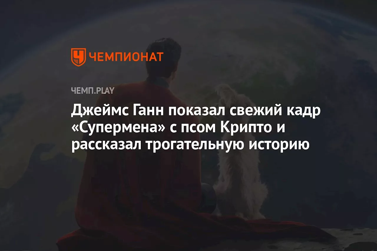 Джеймс Ганн показал свежий кадр «Супермена» с псом Крипто и рассказал трогательную историю