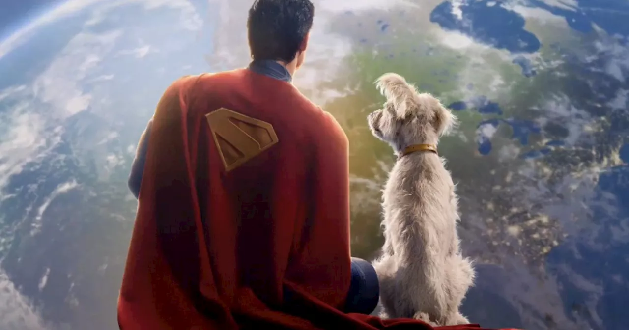 James Gunn Explains Why Krypto Isn’t a Labrador in DCU Superman Movie